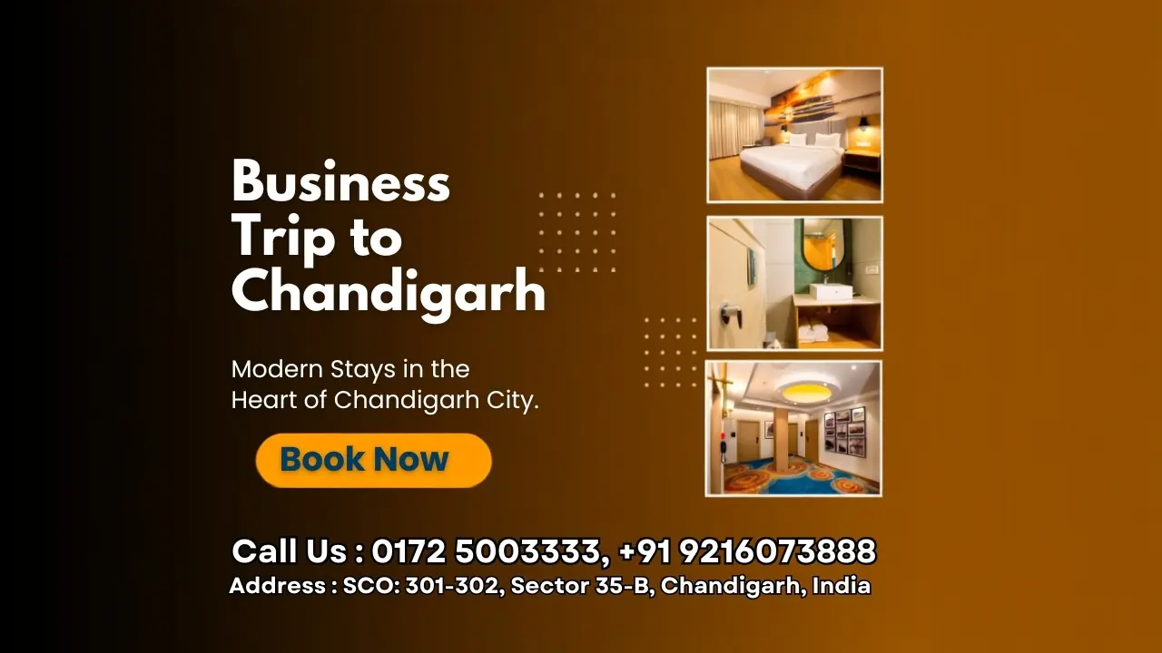 Business Trip to Chandigarh